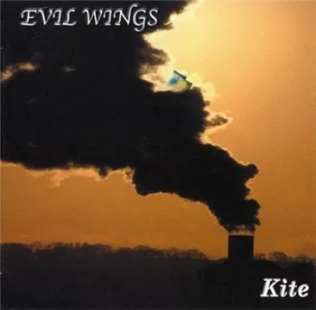 Kite cover