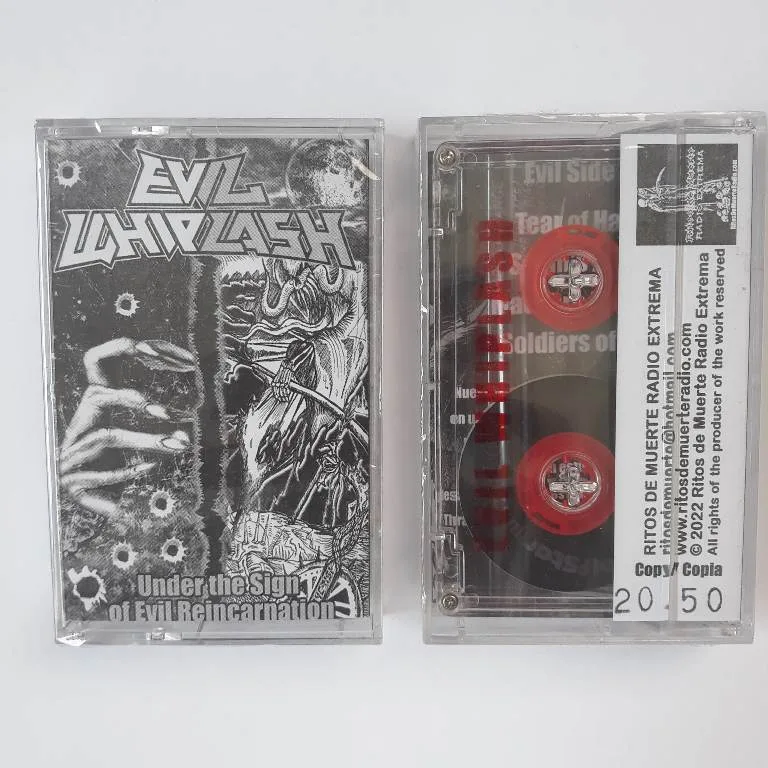 Under the Sign of Evil Reincarnation cover