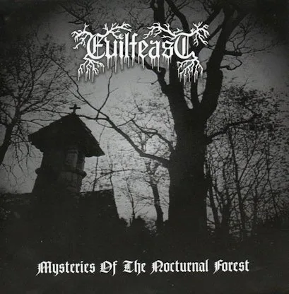 Mysteries of the Nocturnal Forest cover