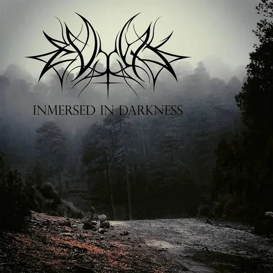 Inmersed in Darkness cover