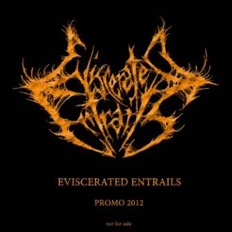 Promo 2012 cover