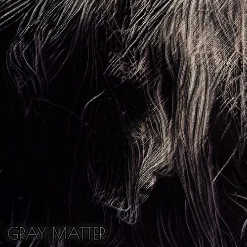 Gray Matter cover
