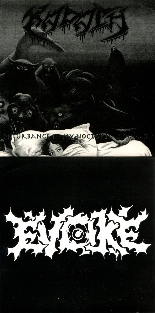 Disturbance in My Nocturnal Domain / Evoke cover