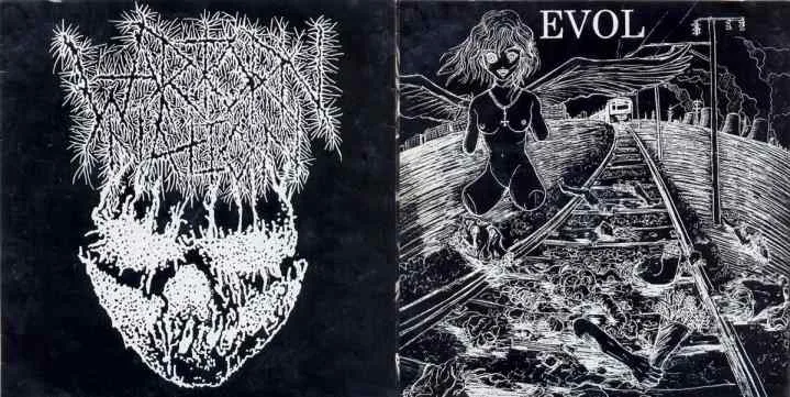 Wartorn Nation / Evol cover