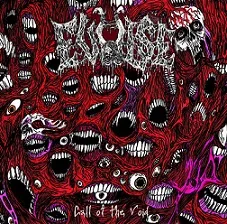 Call of the Void cover
