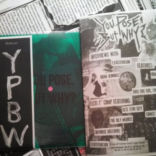 You Pose, but Why? #1 cover