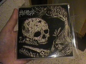 Simultaneidad del desastre cover