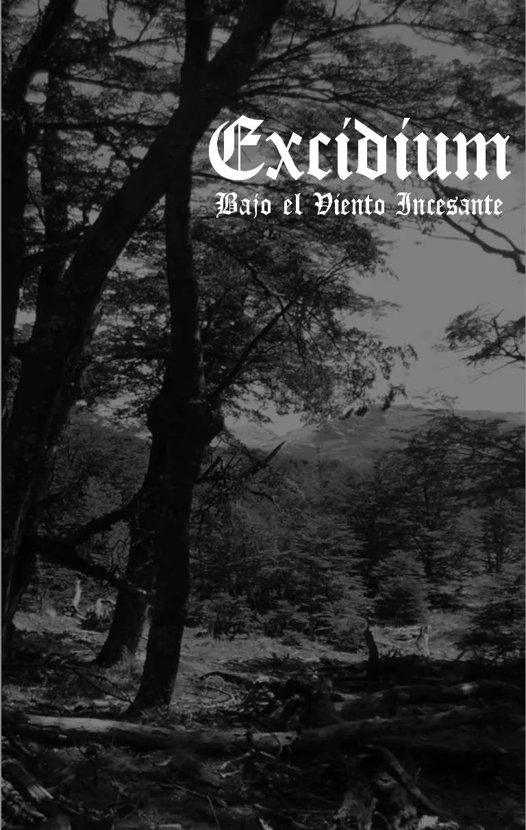 Bajo el viento incesante cover