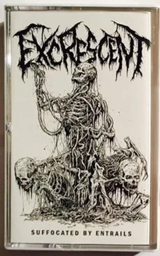 Suffocated by Entrails cover