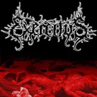 Chagrin cover