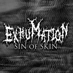 Sin of Skin cover