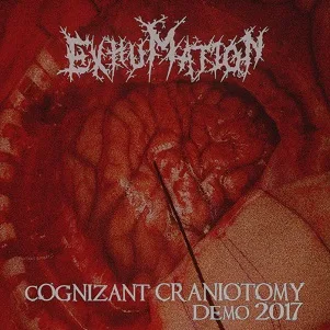 Cognizant Craniotomy: Demo 2017 cover