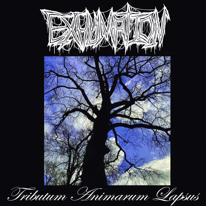Tributum Animarum Lapsus cover