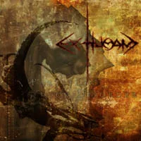 Partition of Disorder cover