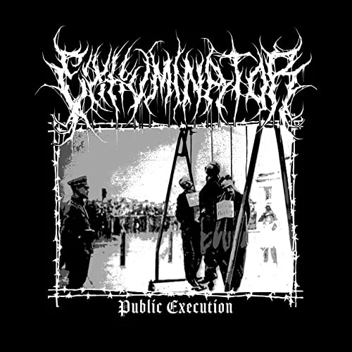 Public Execution cover