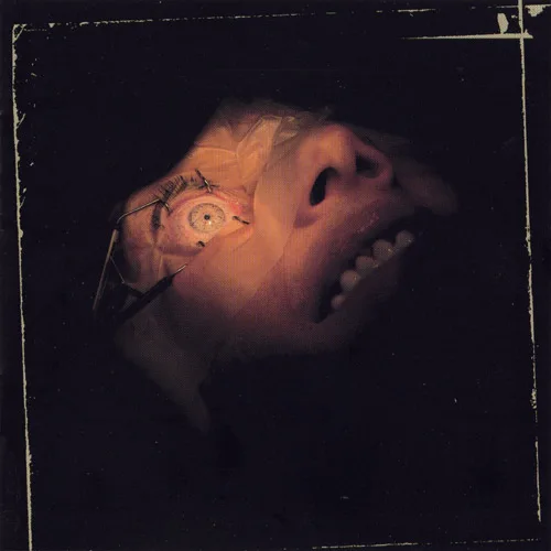 Anatomy Is Destiny cover