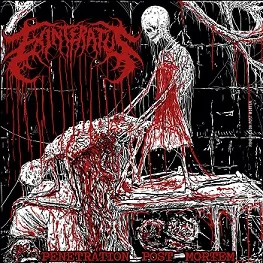 Penetration Post Mortem cover