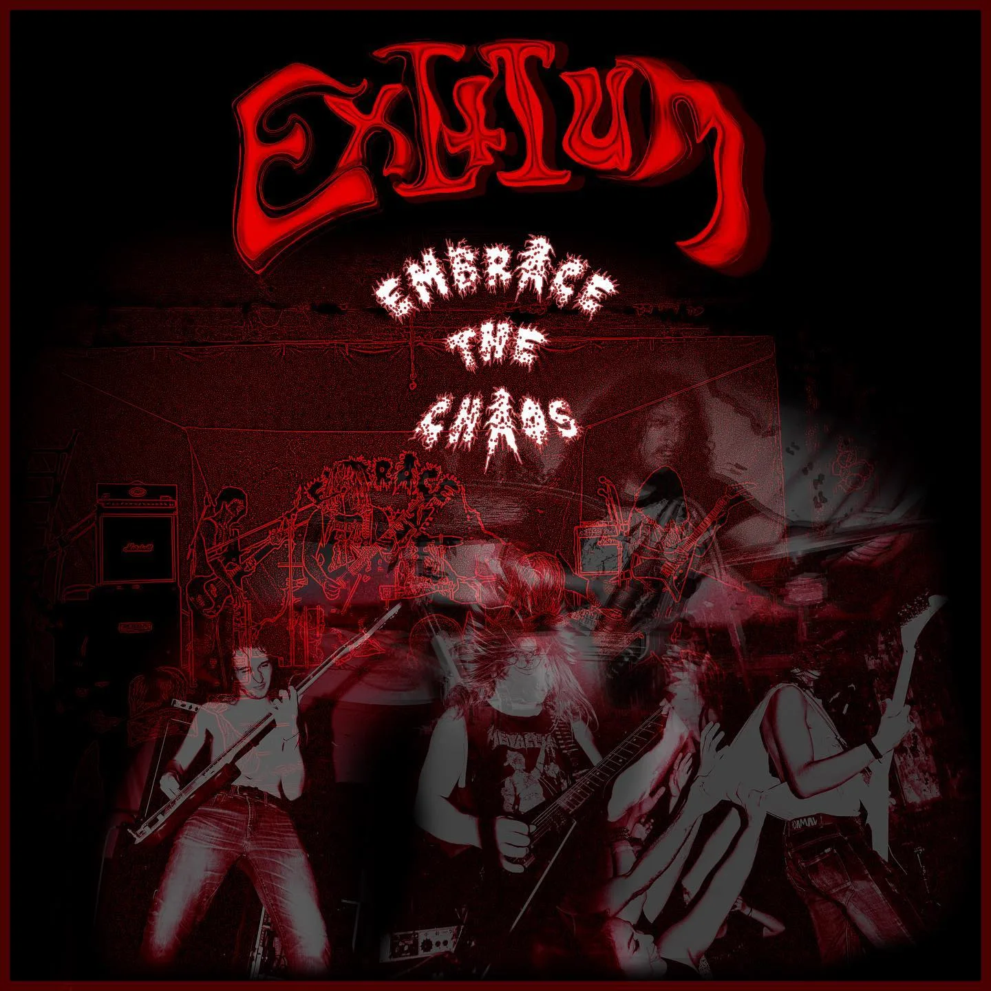 Embrace the Chaos cover