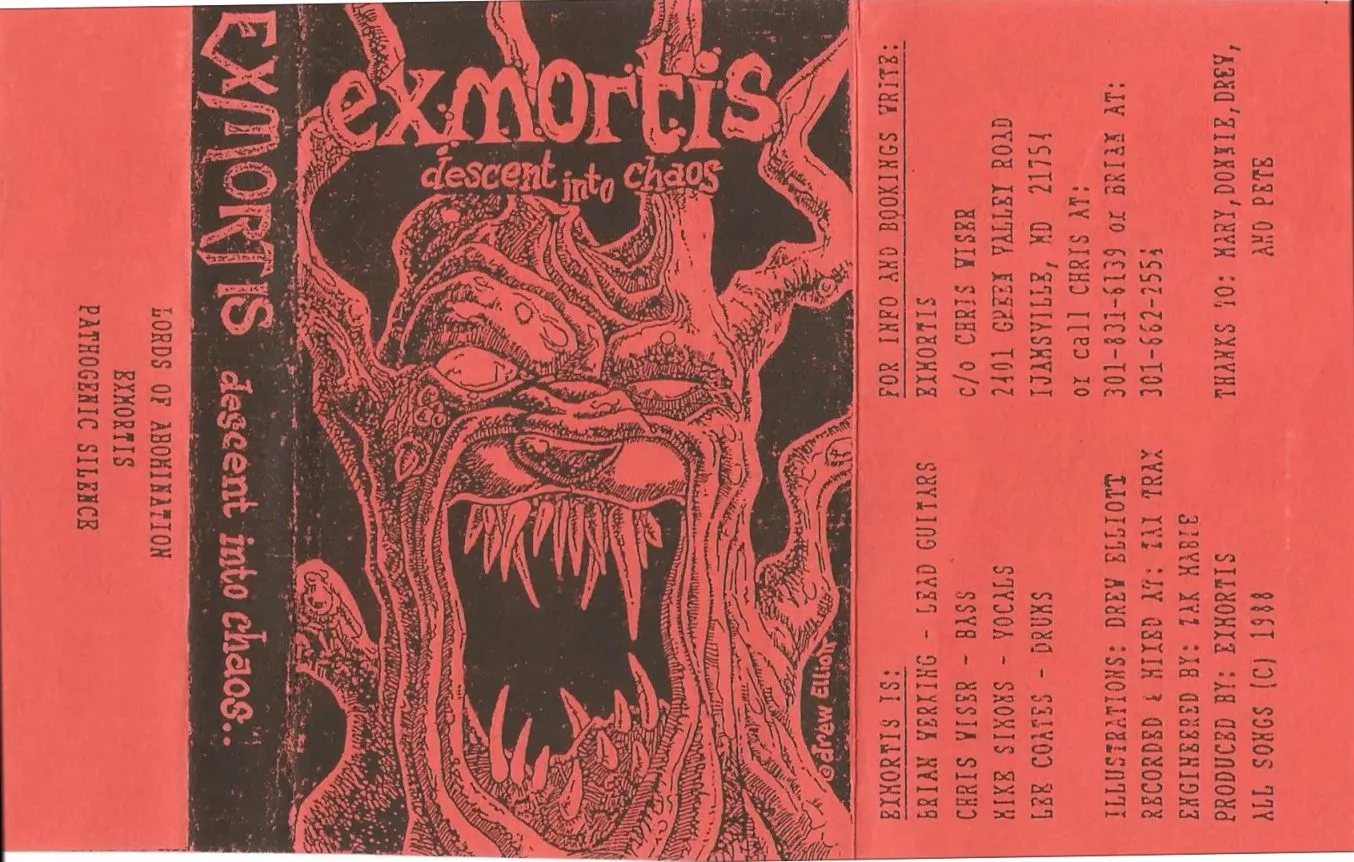 Descent into Chaos cover