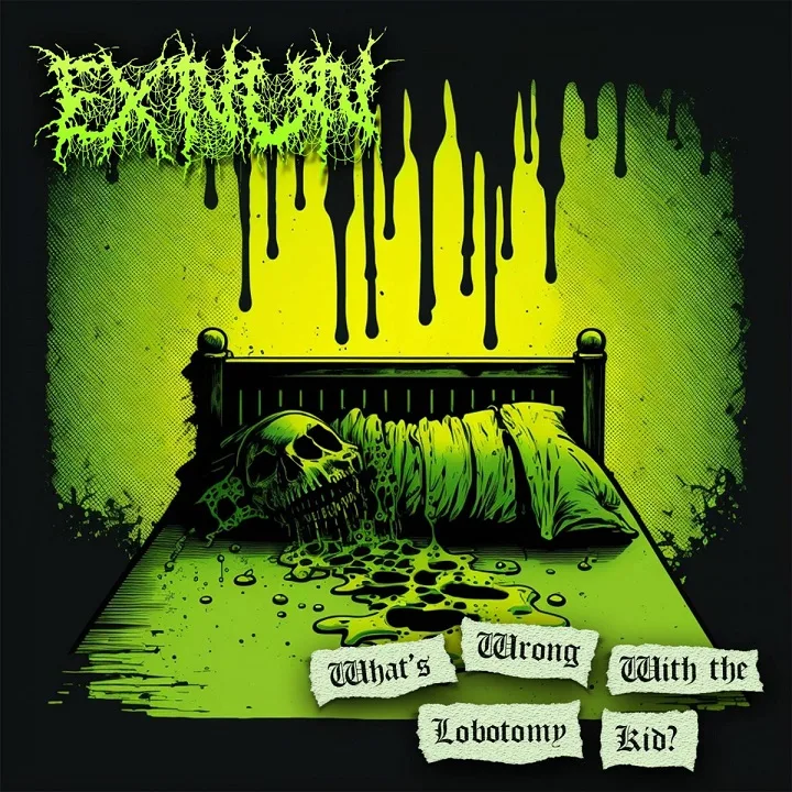 What's Wrong With the Lobotomy Kid? cover