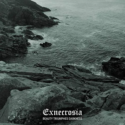 Beauty Triumphes Darkness cover