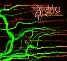 Neuromuscular Junction cover