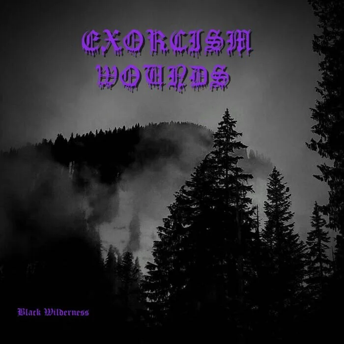 Black Wilderness cover