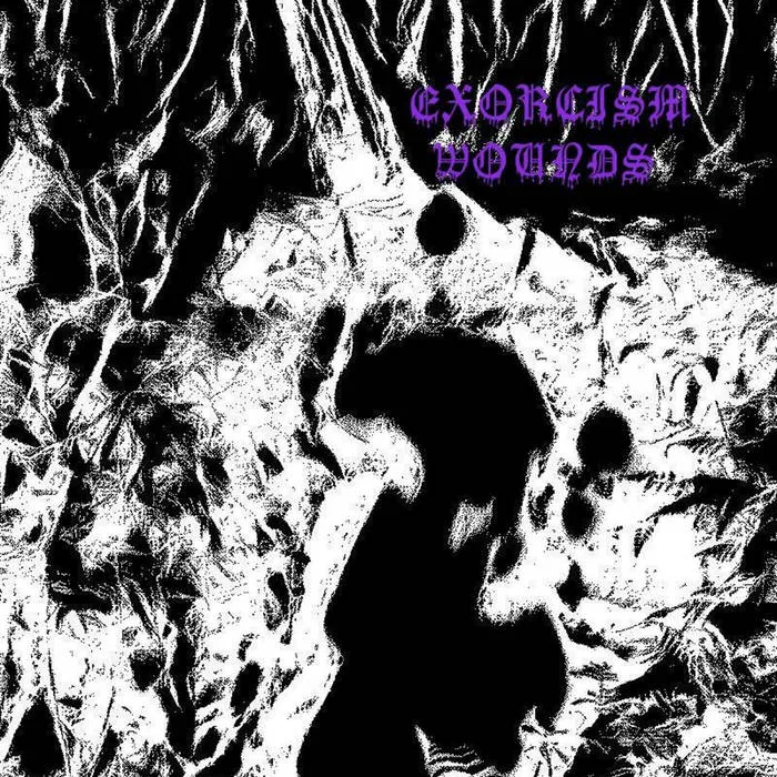 Mocking the Purity cover