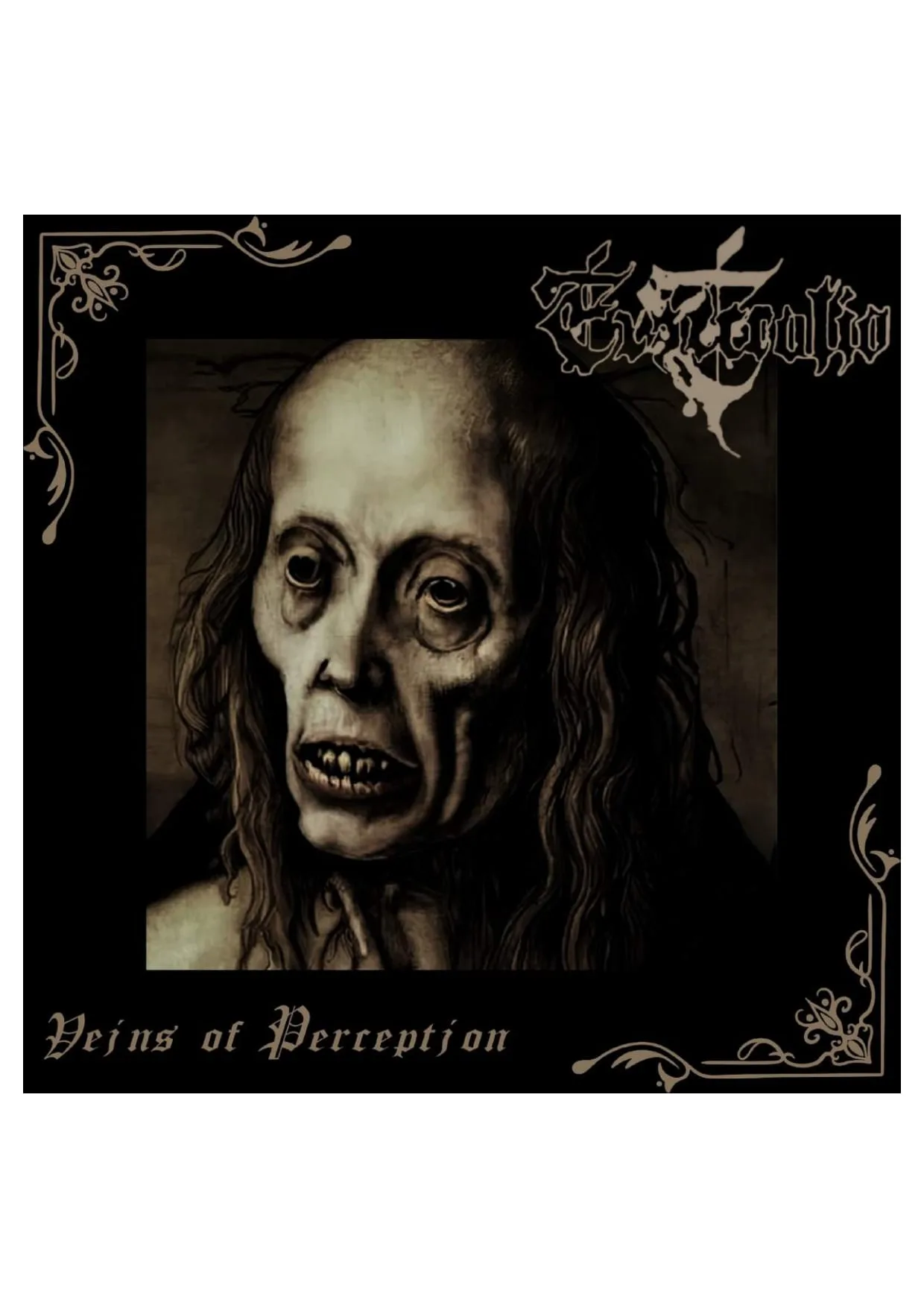 Veins of Perception cover