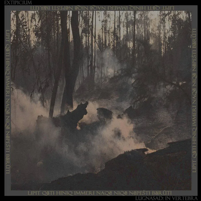 Lugnasad: In Vertebra (Instrumental) cover