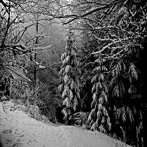 Extirpation / Karmaggedon cover