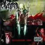 Procederum Finic cover