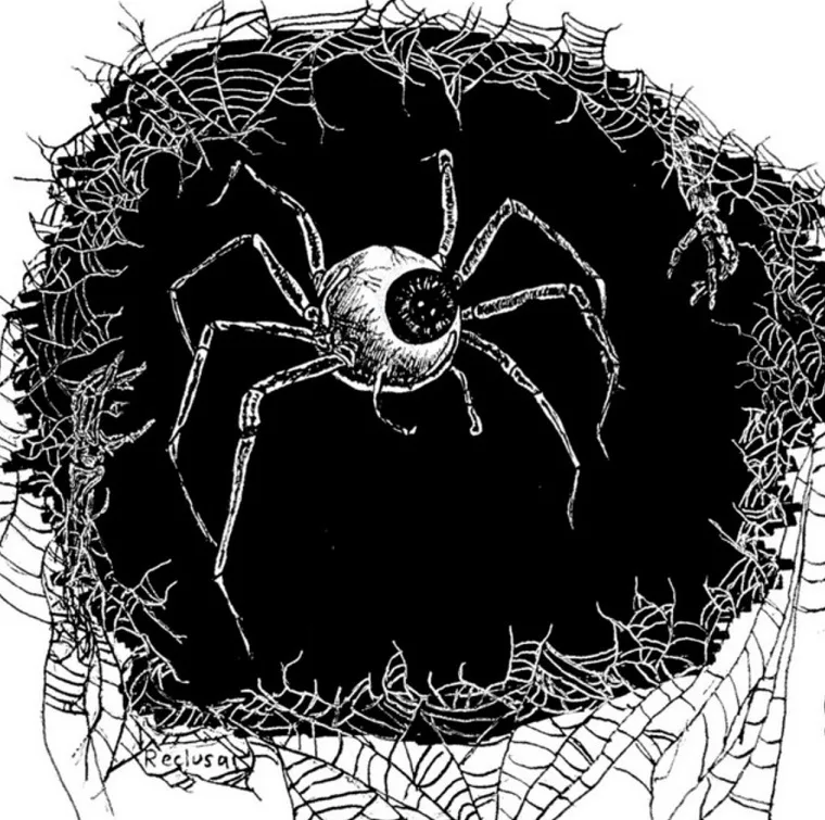 Reclusa cover