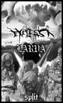 Eyeless / Larva cover