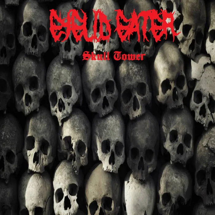 Skull Tower cover