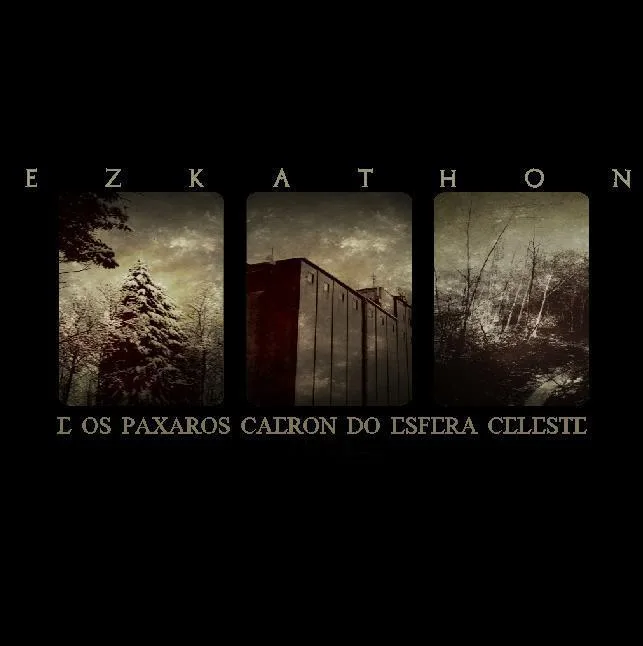 E Os Paxaros Caeron Do Esfera Celeste cover