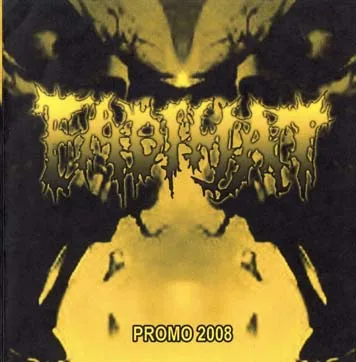 Promo 2008 cover