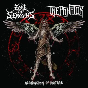 Incarnation of Torture cover