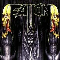 Fallon cover