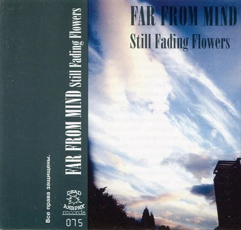 Still Fading Flowers cover