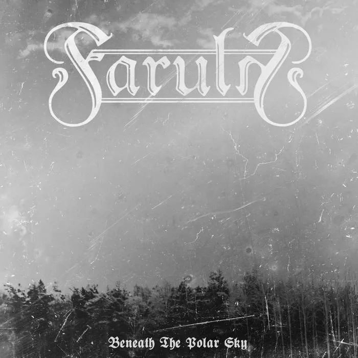 Beneath the Polar Sky cover