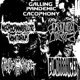 Galling Pandemic Cacophony cover