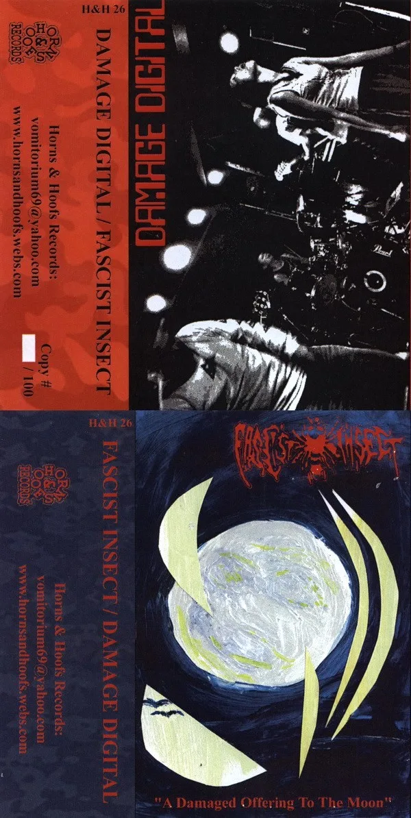 Damage Digital / A Damaged Offering to the Moon cover