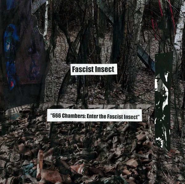 666 Chambers: Enter the Fascist Insect cover
