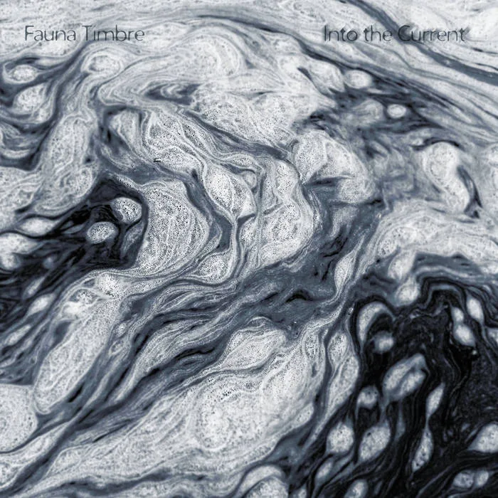 Into the Current cover