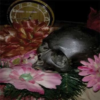 Nagranie z muzyką naiwną cover