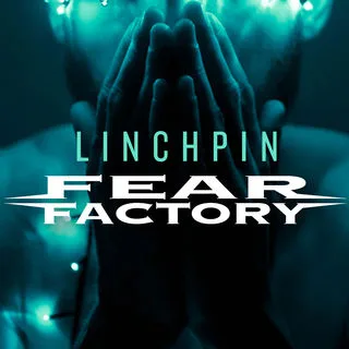 Linchpin cover