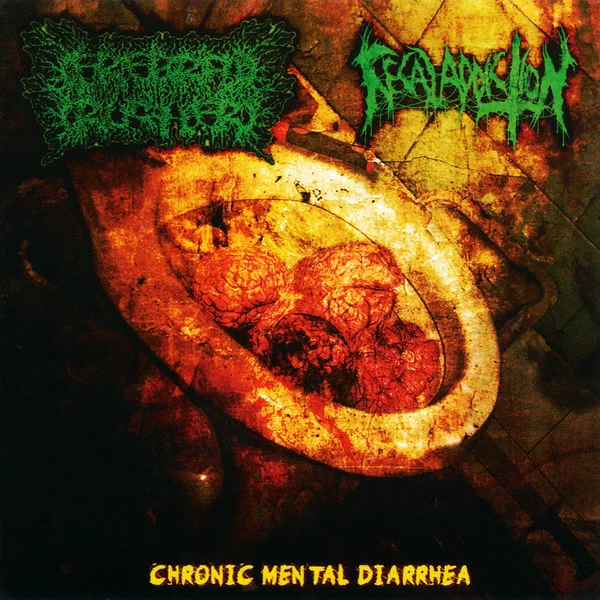 Chronic Mental Diarrhea cover