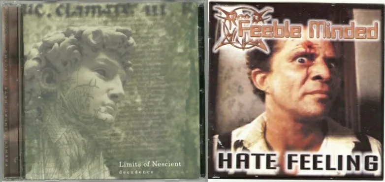 Decadence / Hate Feeling cover