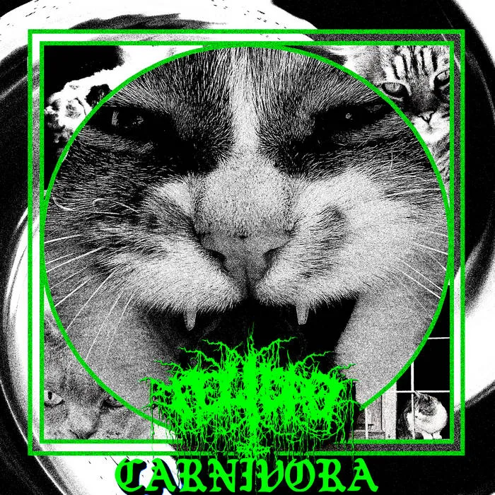 Carnivora cover